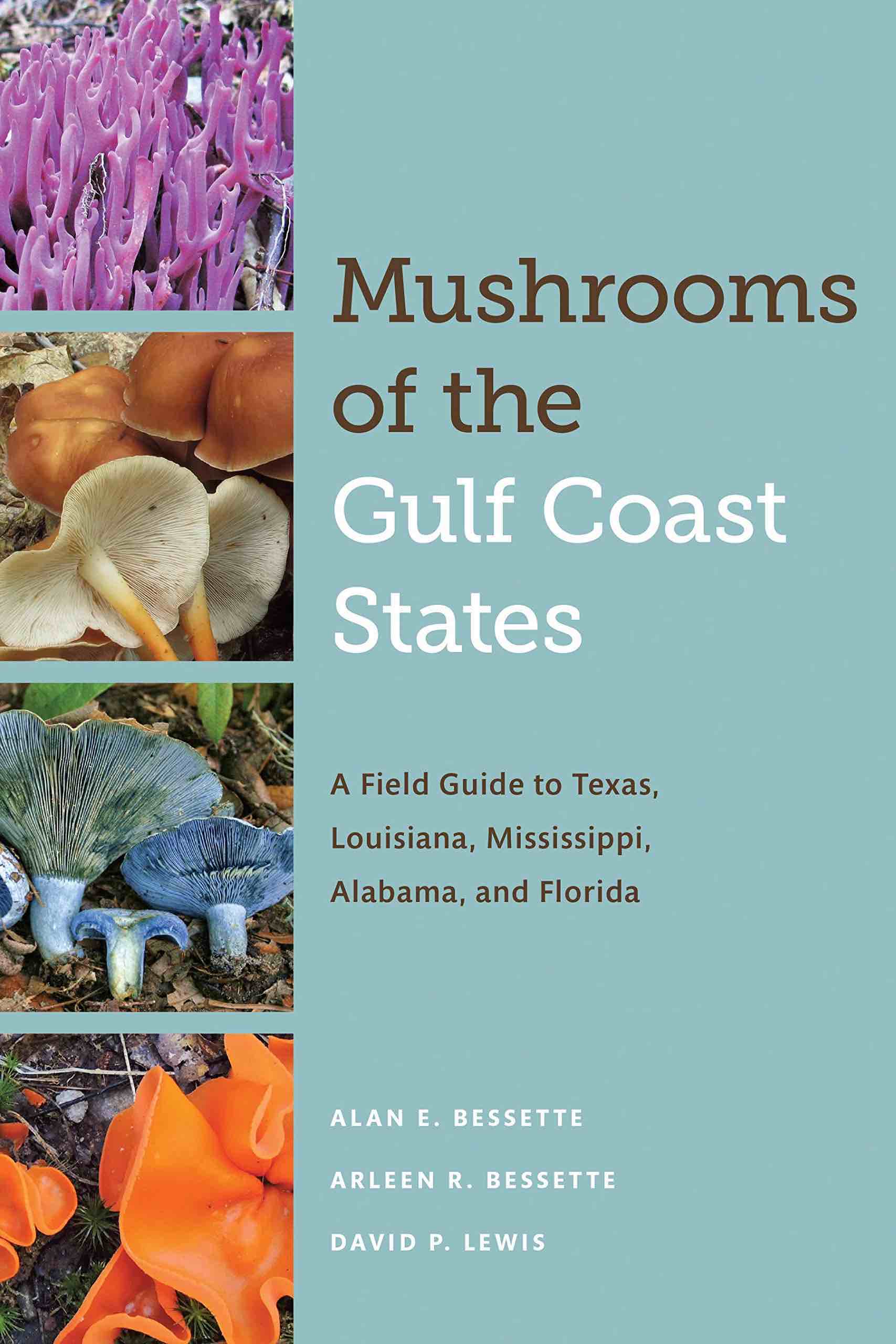 Mushrooms Of The Gulf Coast States