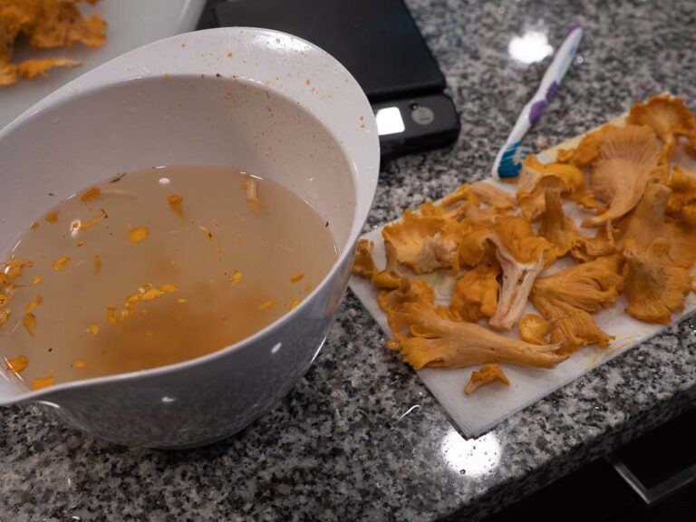 Mixing bowl and chanterelles drying after being cleaned using soak method