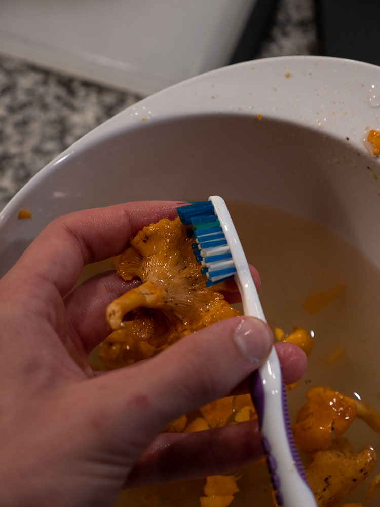 Toothbrush cleaning wet Chanterelle