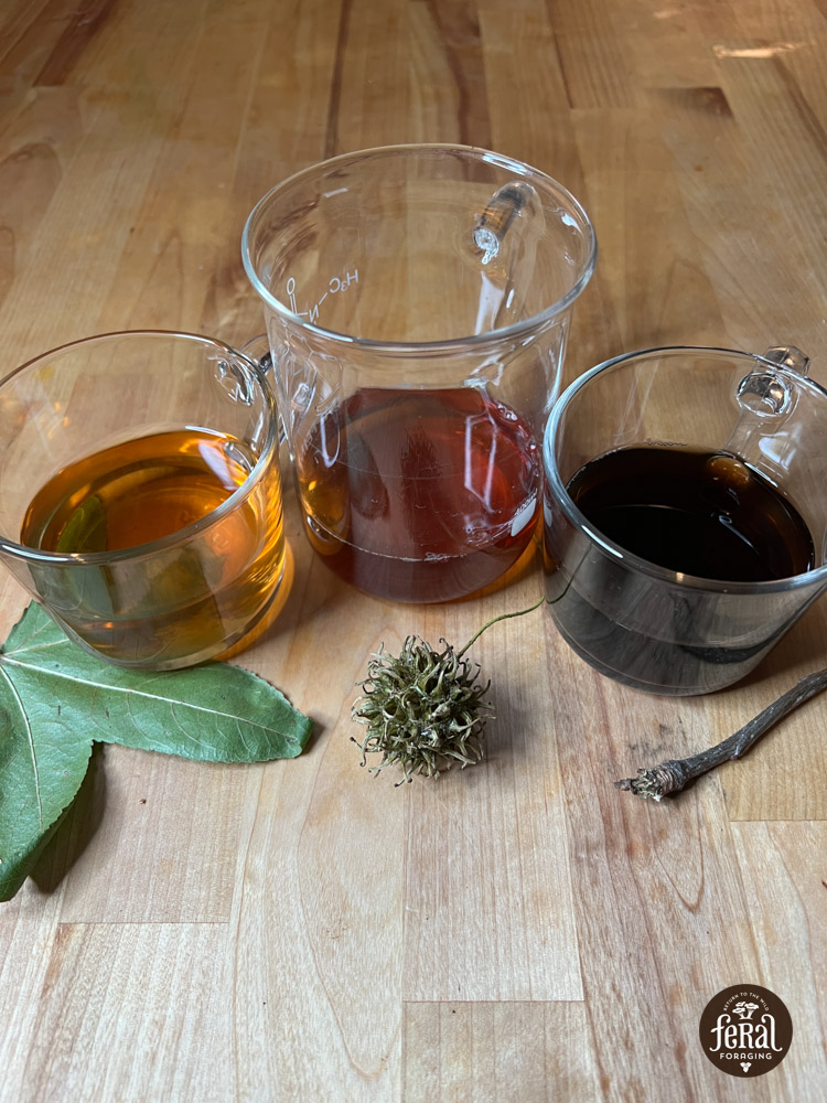 Sweetgum Medicinal Teas