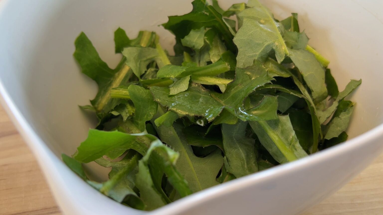 Is Wild Lettuce Toxic? Feral Foraging