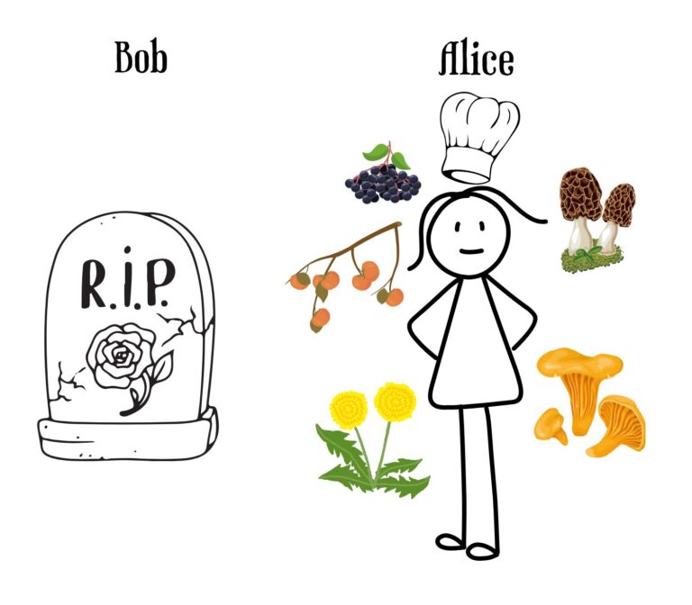 Bob As A Tombstone Alice With Many Wild Edible Species E1682602827423