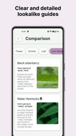 gather-lookalikes-guide