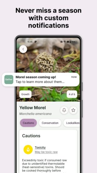 gather-notifications