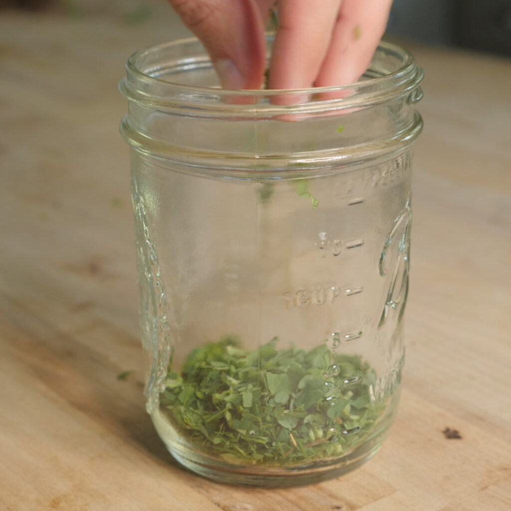 Making Fresh Wood Sorrel Tea