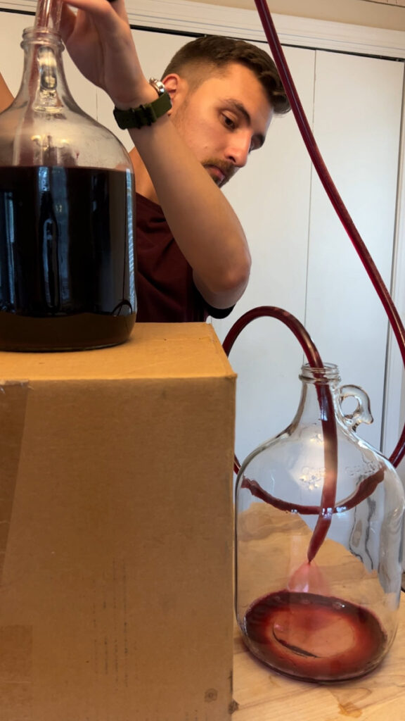 Jesse Transferring Homemade Elderberry Wine To Glass Jugs