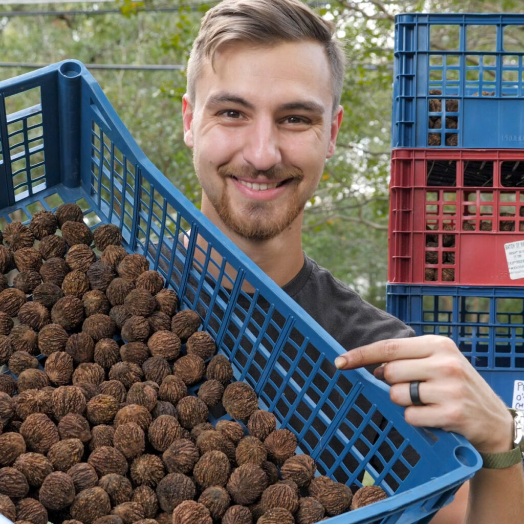 Jesse With Black Walnuts In Basket