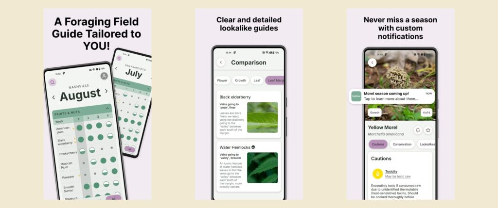 Gather, the foraging app: a field guide tailored to where you live, side-by-side lookalike guides like black elderberry vs. water hemlock, and season alerts